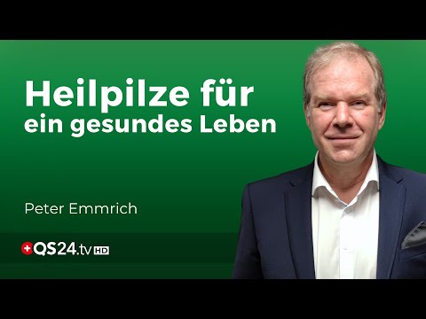 Die Geheimnisse der Heilpilze: Auf den Spuren des Zunderschwamms | Naturmedizin | QS24