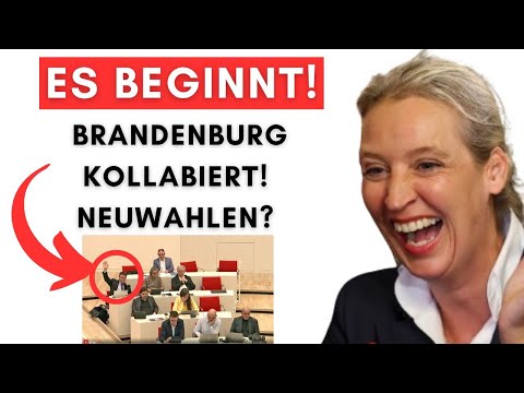 In Brandenburg: Erste BSW´ler laufen zu AfD über!