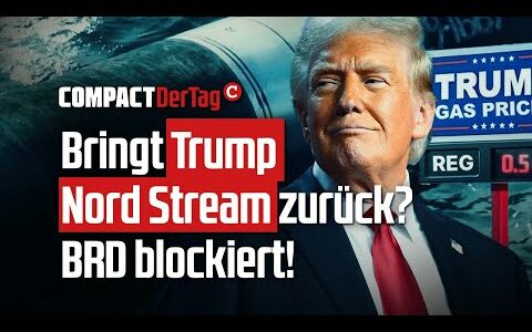 Bringt Trump Nord Stream zurück? BRD blockiert!💥