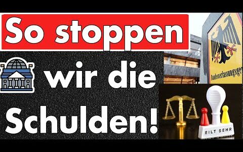 Traut sich die AfD? Bisher höre ich Gegenteiliges! Stoppt einstweilige Anordnung die Sondervermögen?