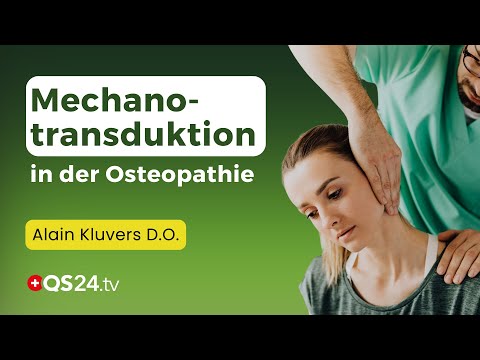 Mechanotransduktion in der Osteopathie: Wie mechanische Stimulation die Heilung fördert | QS24