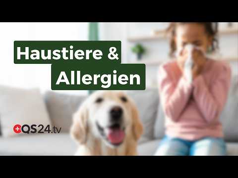 Haustiere und Allergien – wie das Mikrobiom von Haustieren unsere Immunantwort beeinflusst | QS24