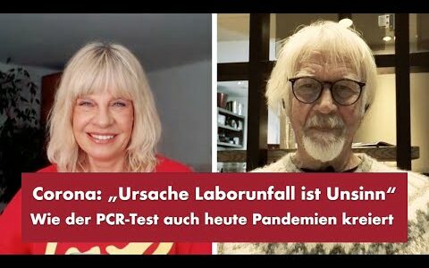 Corona: „Ursache Laborunfall ist Unsinn“ – Punkt.PRERADOVIC mit Dr. Wolfgang Wodarg