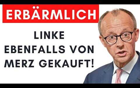 Linke verhindern Rettung von Deutschland & winken Schuldenpaket durch!