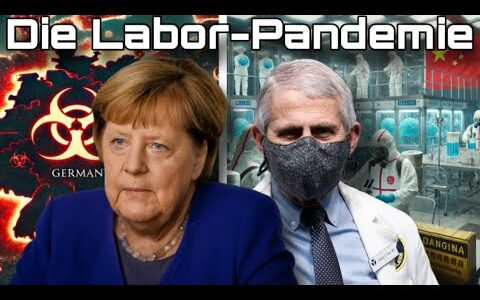 BND-Enthüllung: Deshalb reiste Merkel 2019 nach Wuhan