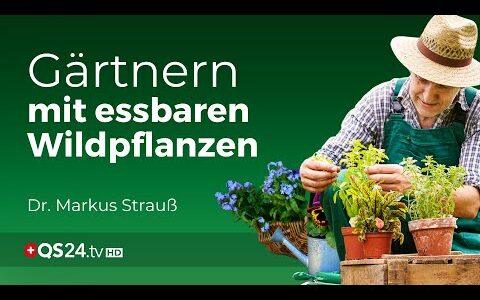 Die Wildnis auf dem Teller: Selbstversorgung mit essbaren Wildpflanzen | Erfahrungsmedizin | QS24