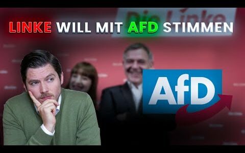 LINKE will mit AfD abstimmen? Heuchelei und Doppelmoral!