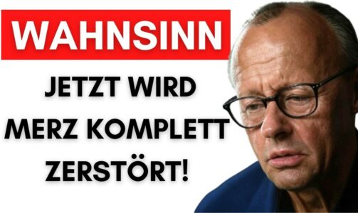 Verfassungsgericht: Erste Abgeordnete verklagen Merz wegen Mega-Schulden!