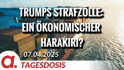 Mehr über den Artikel erfahren Trumps Strafzölle: Ein ökonomischer Harakiri? | Von Paul Clemente
