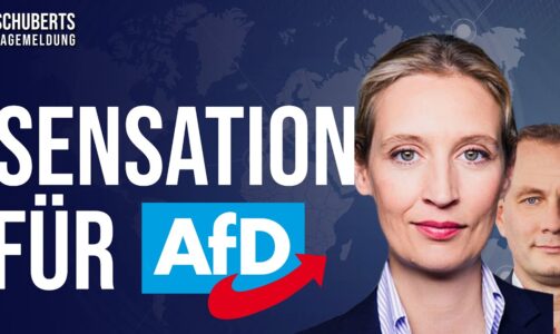 Berlin-Beben💥 Der nächste Meilenstein für die AfD🇩🇪 + Mainstream geschockt!