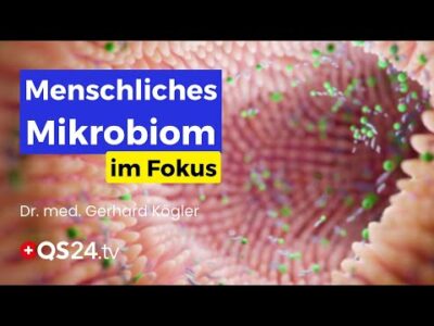 Mehr über den Artikel erfahren Leaky-Gut-Syndrom: Die drohende Krankheit des nächsten Jahrhunderts | Erfahrungsmedizin | QS24