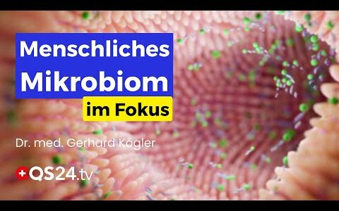 Leaky-Gut-Syndrom: Die drohende Krankheit des nächsten Jahrhunderts | Erfahrungsmedizin | QS24