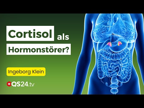 Die Rolle von Cortisol & Co: Hormonelles Gleichgewicht für Frauen | Erfahrungsmedizin | QS24