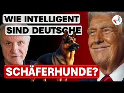 Mehr über den Artikel erfahren US-Präsident Donald Trump und die Intelligenz des Schäferhunds