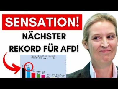 Mehr über den Artikel erfahren Wahnsinn: AfD knackt neuen Umfrage-Rekord