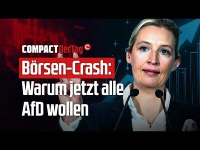 Mehr über den Artikel erfahren Börsen-Crash: Warum jetzt alle AfD wollen💥