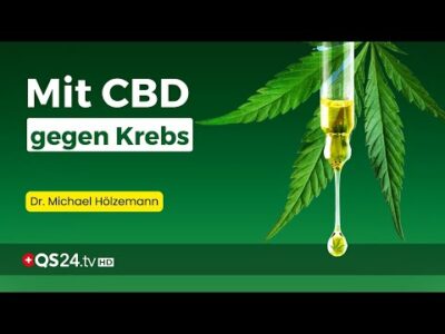 Mehr über den Artikel erfahren Cannabidiol: Das natürliche Heilmittel für Schmerzen & Krebs | Erfahrungsmedizin | QS24