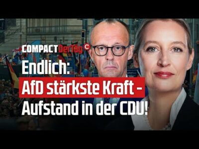 Mehr über den Artikel erfahren Endlich: AfD stärkste Kraft – Aufstand in der CDU!💥