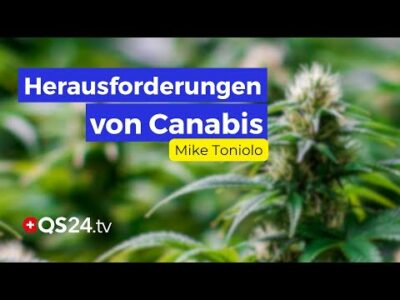 Mehr über den Artikel erfahren Die Vielseitigkeit der Hanfpflanze: Von der Industrie bis zur Medizin | Erfahrungsmedizin | QS24