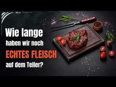 Mehr über den Artikel erfahren Wie lange haben wir noch echtes Fleisch auf dem Teller?