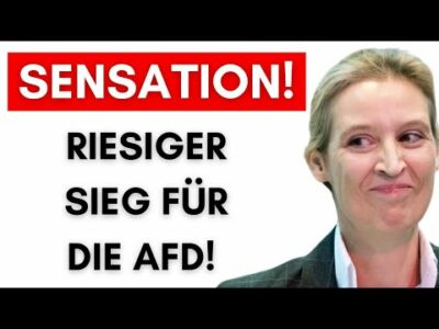 Mehr über den Artikel erfahren Unfassbar: Merz gewinnt vor Gericht und hilft damit der AfD!