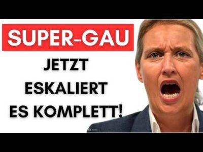 Mehr über den Artikel erfahren Bundestagspräsidium: AfD-Abgeordnete dürfen im Bundestag keine Reden mehr halten