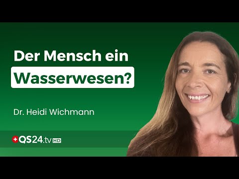 Unser Ursprung im Meer und was das für unsere Gesundheit bedeutet | Erfahrungsmedizin | QS24