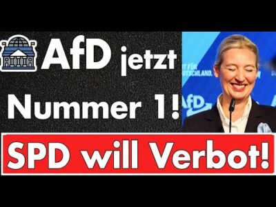 Mehr über den Artikel erfahren AfD in Umfragen Nummer 1! Sofort kommt die Debatte um das Verbot! Sie werden gnadenlos scheitern!