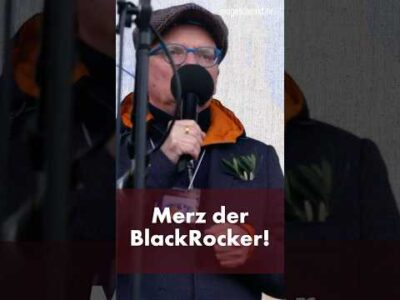 Mehr über den Artikel erfahren Uwe Steimle: Friedrich Merz – Der Staatshalter von BlackRock!