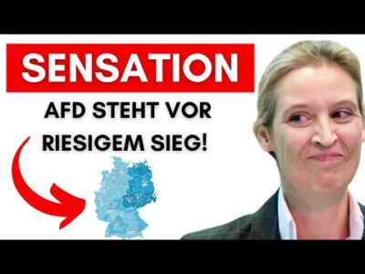 Mehr über den Artikel erfahren INSA-Chef im Interview: Die AfD könnte die absolute Mehrheit holen!