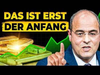 Mehr über den Artikel erfahren Die Wahrheit über das Gold der Deutschen! (Peter Boehringer packt aus)