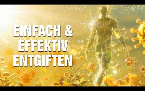 Detox effektiv & einfach: Wie Du deinen Körper im Liegen entgiftest – Herbert Renner
