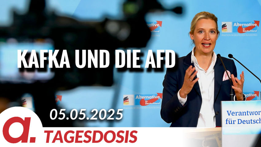 Kafka und die AfD | Von Paul Clemente