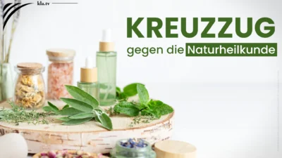 Mehr über den Artikel erfahren Artemisia, Zistrose & Co.: Warum bewährte Heilpflanzen zunehmend verboten werden