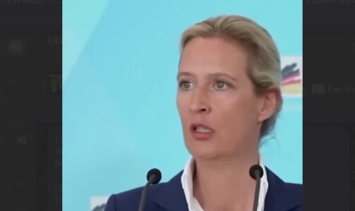Statement von Alice Weidel zum Handeln des verfassungsfeindlichen Verfassungsschutzes