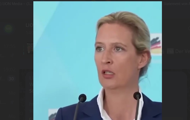Statement von Alice Weidel zum Handeln des verfassungsfeindlichen Verfassungsschutzes