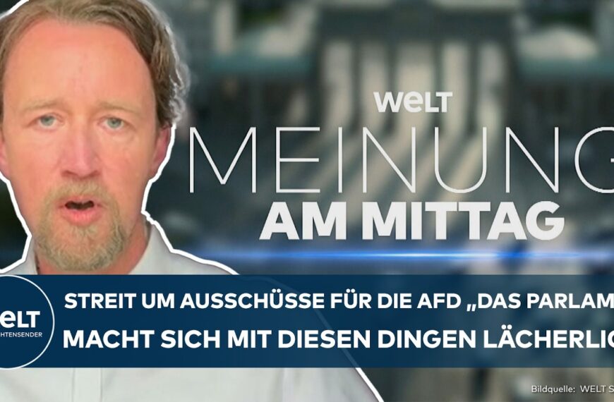 Fassungslosigkeit: „Parlament macht sich lächerlich“ Ausschuss-Streit um die AFD! Experte fassungslos!