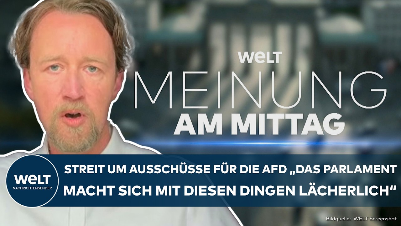Fassungslosigkeit: „Parlament macht sich lächerlich“ Ausschuss-Streit um die AFD! Experte fassungslos!