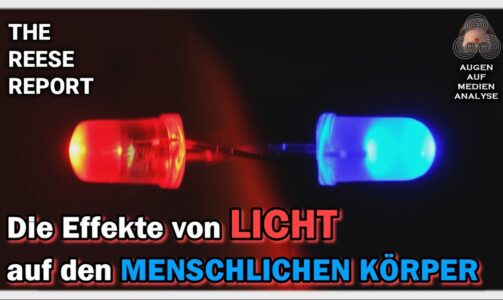 Die Effekte von LICHT auf den MENSCHLICHEN KÖRPER (The Reese Report – Deutsch)