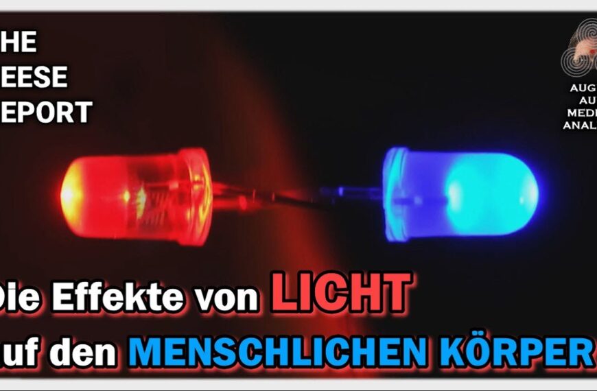 Die Effekte von LICHT auf den MENSCHLICHEN KÖRPER (The Reese Report – Deutsch)