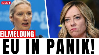 Mehr über den Artikel erfahren EU Beben! Giorgia Meloni’s verkündet offiziell die zusammenarbeit mit AfD