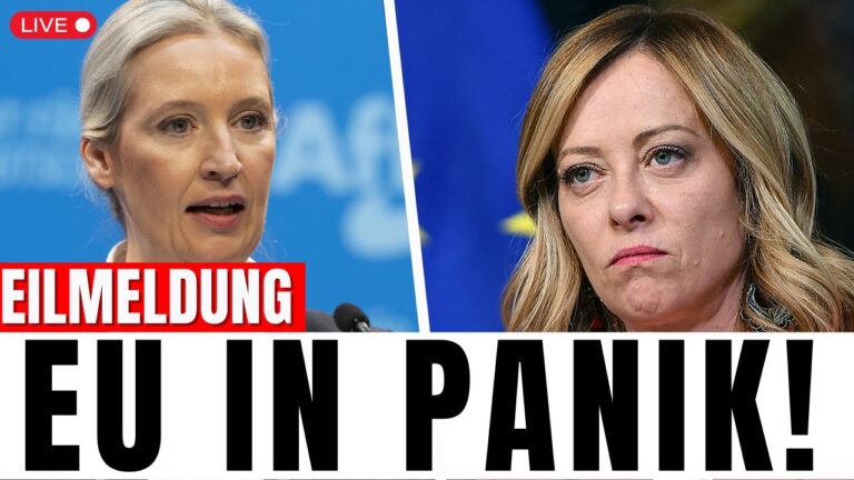 Mehr über den Artikel erfahren EU Beben! Giorgia Meloni’s verkündet offiziell die zusammenarbeit mit AfD
