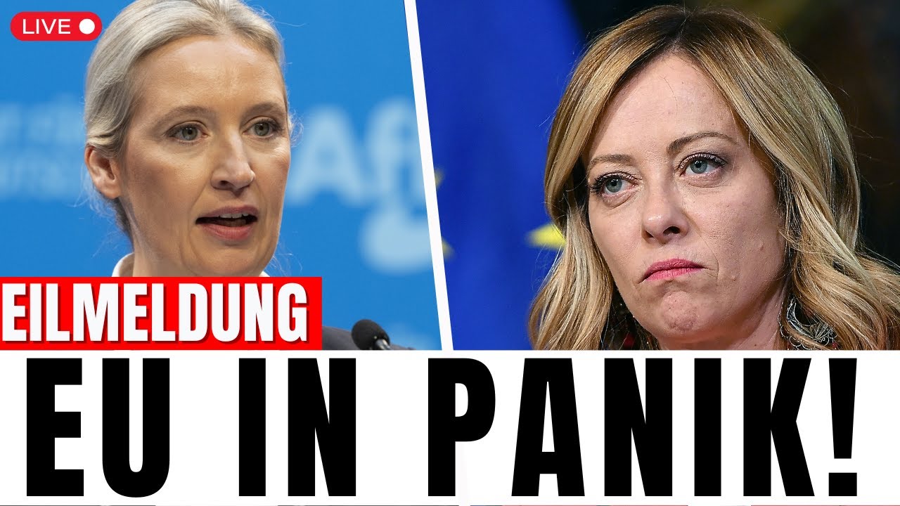 EU Beben! Giorgia Meloni’s verkündet offiziell die zusammenarbeit mit AfD