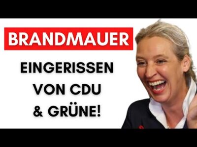 Mehr über den Artikel erfahren Köln: CDU & Grüne stimmen gemeinsam mit AfD ab!