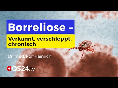 Borreliose– Die versteckte Epidemie:Warum so viele Menschen betroffen sind, ohne es zu wissen | QS24