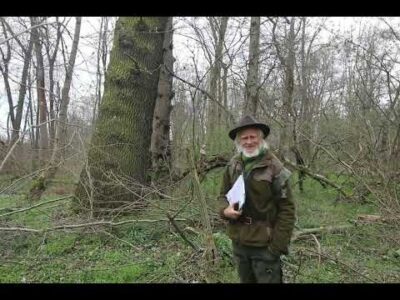 Mehr über den Artikel erfahren Kunst und Erkenntnis für Auen und Wald – 17. – 20. September 2025 in Leipzig – herzliche Einladung