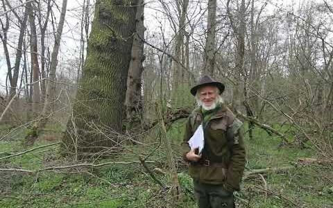 Kunst und Erkenntnis für Auen und Wald – 17. – 20. September 2025 in Leipzig – herzliche Einladung