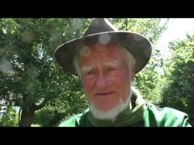 Mehr über den Artikel erfahren Gruss aus Sinzig zu Vielfalt, Insekten und bewusster Naturwahrnehmung
