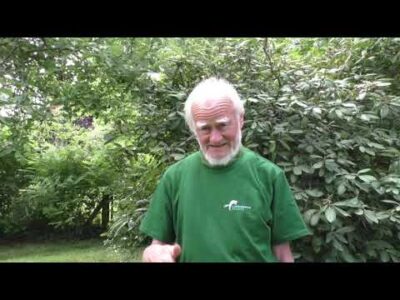 Mehr über den Artikel erfahren Leben  – bis zum Baum umarmen –  es wird Zeit!