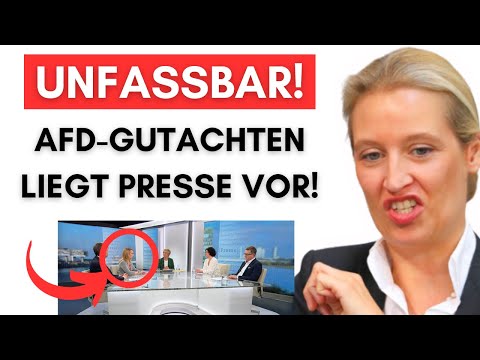 LINKE Presse darf streng geheimes Gutachten sehen, AfD aber nicht!